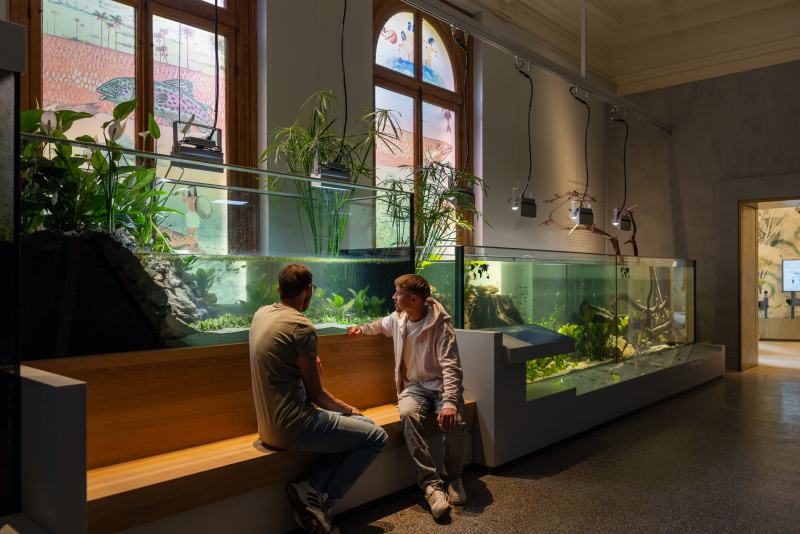 Artis Aquarium