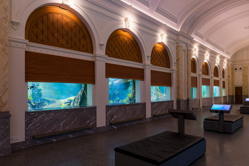 Artis Aquarium