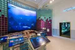 Artis Aquarium