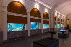 Artis Aquarium