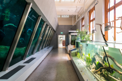 Artis Aquarium