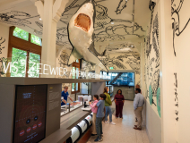 Artis Aquarium