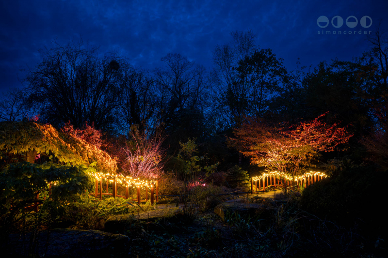 Chester Zoo, Lanterns and Light