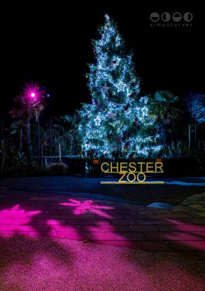 Chester Zoo, Lanterns and Light