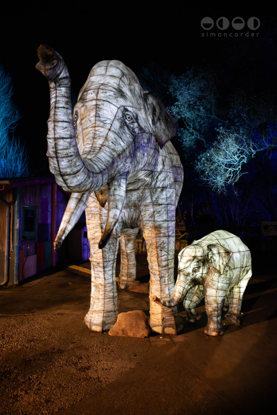Chester Zoo, Lanterns and Light