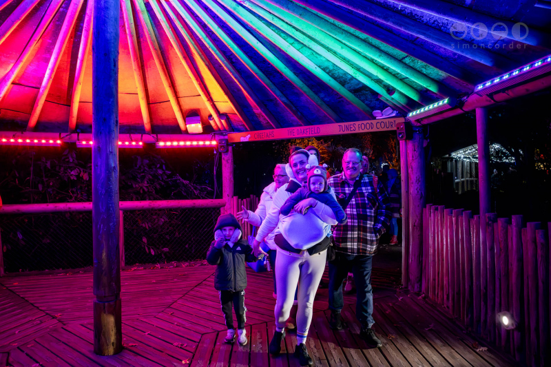 Chester Zoo, Lanterns and Light