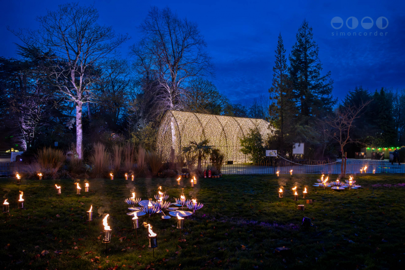 Chester Zoo, Lanterns and Light