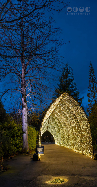 Chester Zoo, Lanterns and Light
