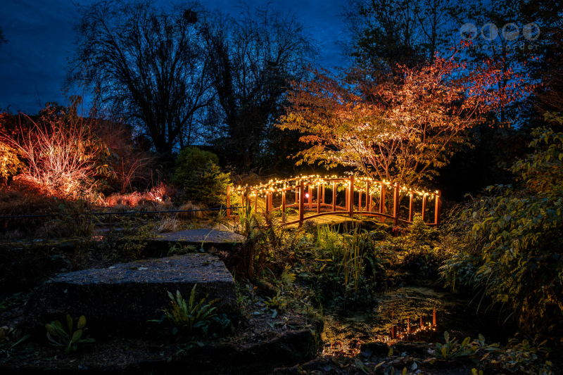Chester Zoo, Lanterns and Light
