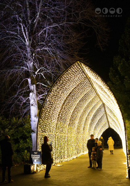 Chester Zoo, Lanterns and Light