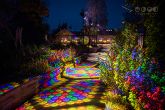 Chester Zoo, Lanterns and Light