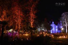 Chester Zoo, Lanterns and Light