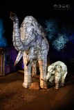 Chester Zoo, Lanterns and Light