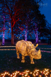Chester Zoo, Lanterns and Light