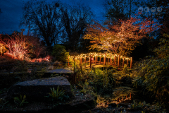 Chester Zoo, Lanterns and Light