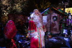 Chester Zoo, Lanterns and Light