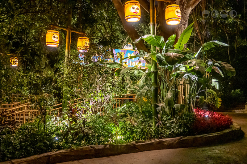 Chimelong Safari