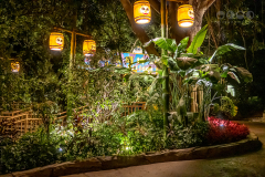 Chimelong Safari
