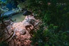Chimelong Safari