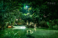 Chimelong Safari