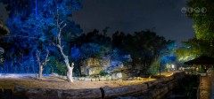 Chimelong Safari