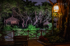 Chimelong Safari