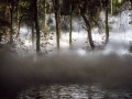 Fogscape #03238