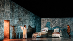 Triple Bill - Zanetto