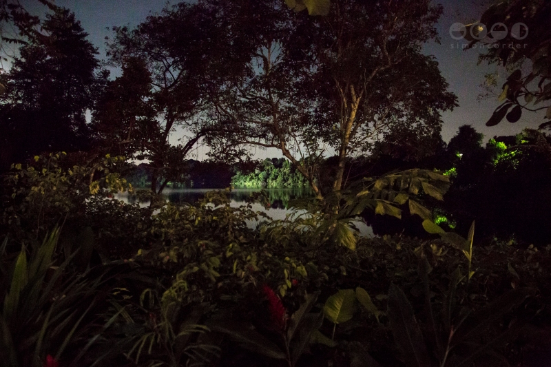 Night Safari, Singapore