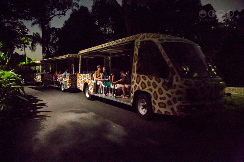 Night Safari, Singapore
