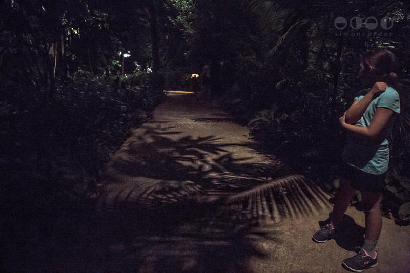 Night Safari, Singapore