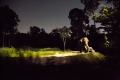 Night Safari, Singapore
