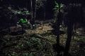 Night Safari, Singapore