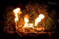 Night Safari, Singapore