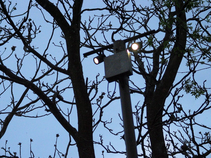 Badger Watch
