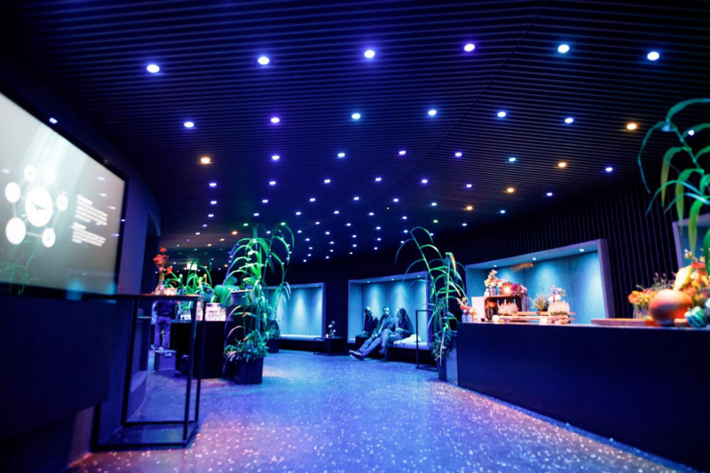 Artis Robbenzaal