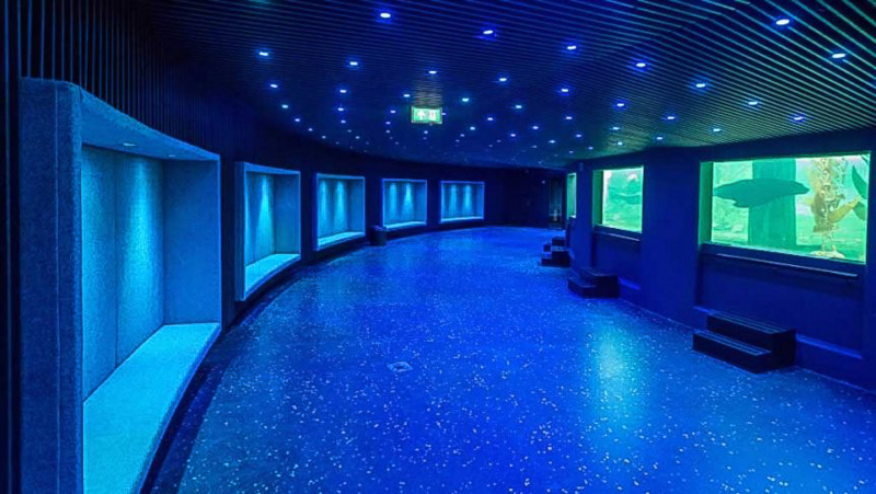 Artis Robbenzaal