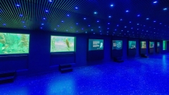 Artis Robbenzaal